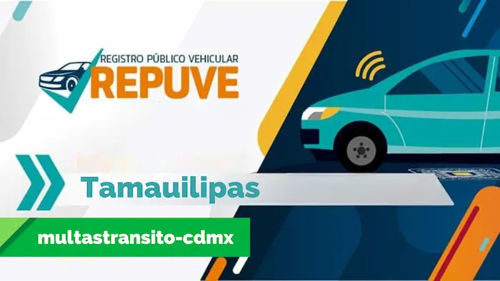 Consulta reporte del Repuve en Tamaulipas con las placas de tu vehículo.