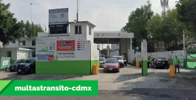 Verificentro NA 950 Alce Blanco