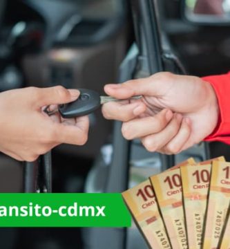 Precio cambio propietario chihuahua