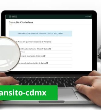 Como consultar VIN