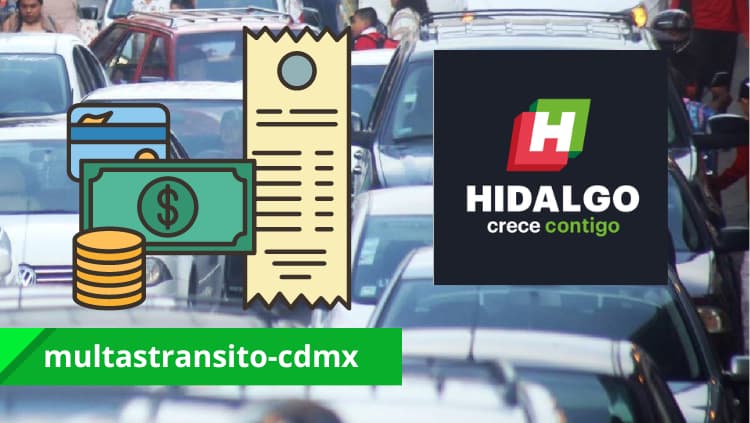 ¿Como hacer una consulta de pago de tenencia en Hidalgo?