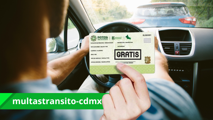 ¿Qué se necesita para sacar la licencia gratis en San Luis Potosí?