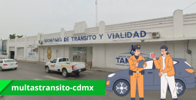 ¿Donde se paga las Multa de transito en Tampico