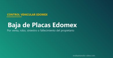 Baja de placas Edomex Secretaría Finanzas