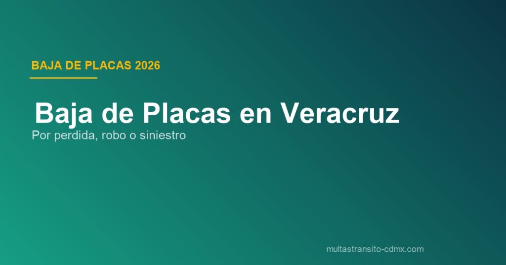 Baja de placas Veracruz
