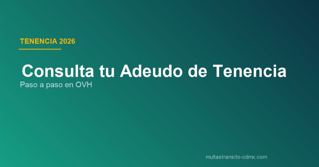 Consulta tenencia Veracruz