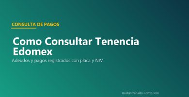 Consultar Tenencia Edomex adeudos pagos portal oficial