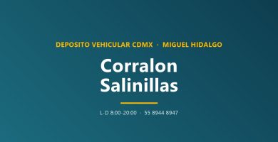 Corralón Salinillas CDMX