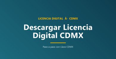 Descargar licencia digital CDMX paso a paso