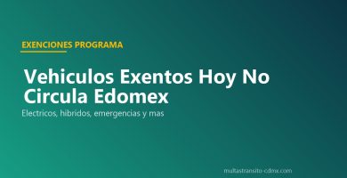 Vehículos exentos Hoy No Circula Edomex holograma 00 D E