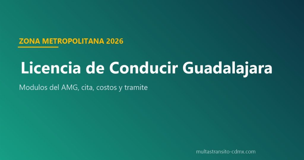 Licencia de conducir Guadalajara: módulos del AMG 2026