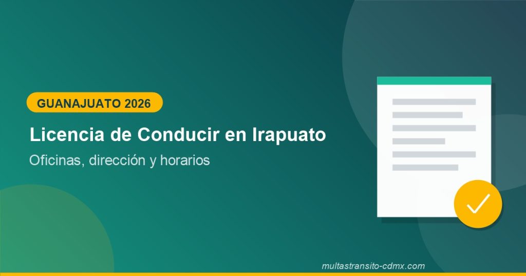Licencia de conducir Irapuato