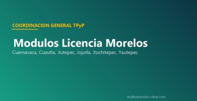 Modulos licencia Morelos Cuernavaca Cuautla Jiutepec Jojutla Xochitepec Yautepec