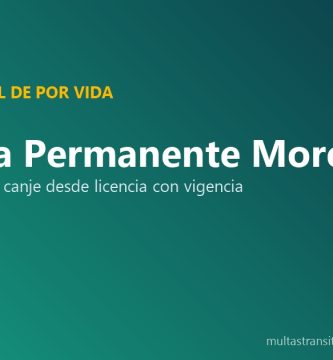 Licencia permanente Morelos primoconductor automovilista chofer