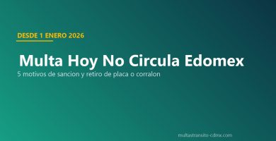 Multa Hoy No Circula Edomex 2026 20 UMA