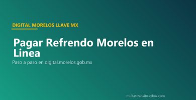 Pagar refrendo Morelos en linea Llave MX digital.morelos.gob.mx