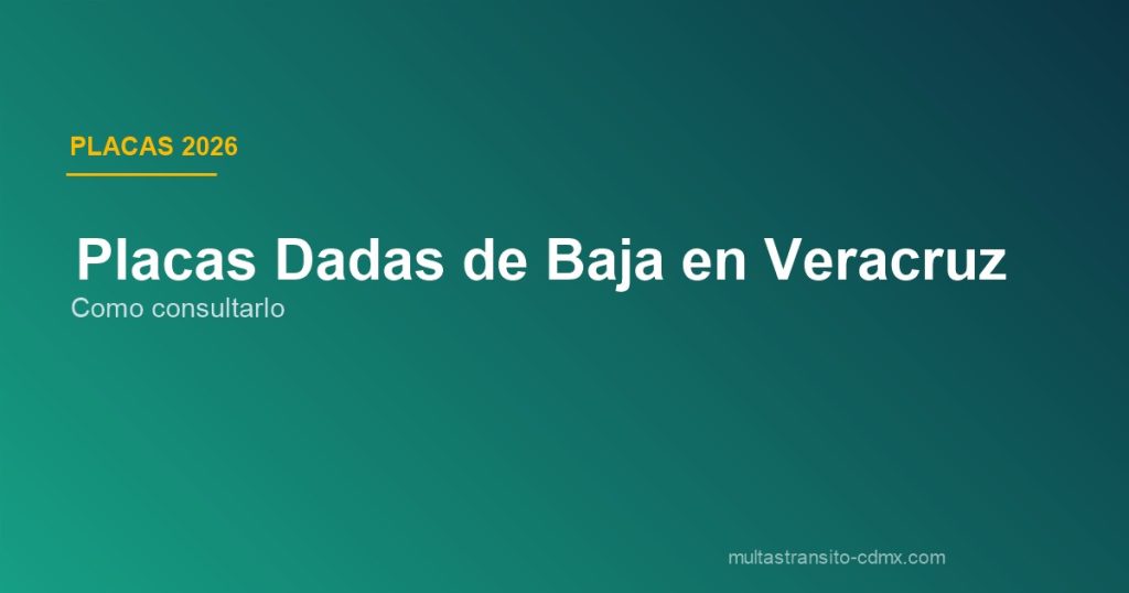 Placas dadas de baja Veracruz