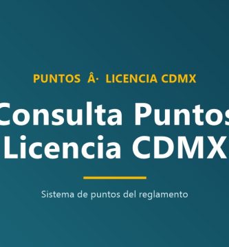 Consulta puntos licencia conducir CDMX