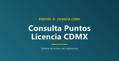 Consulta puntos licencia conducir CDMX