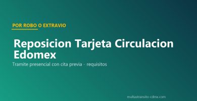 Reposición tarjeta circulación Edomex robo extravío