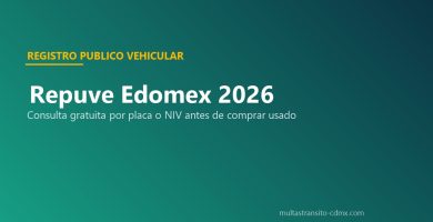 Repuve Edomex consulta gratuita placa NIV antes comprar usado