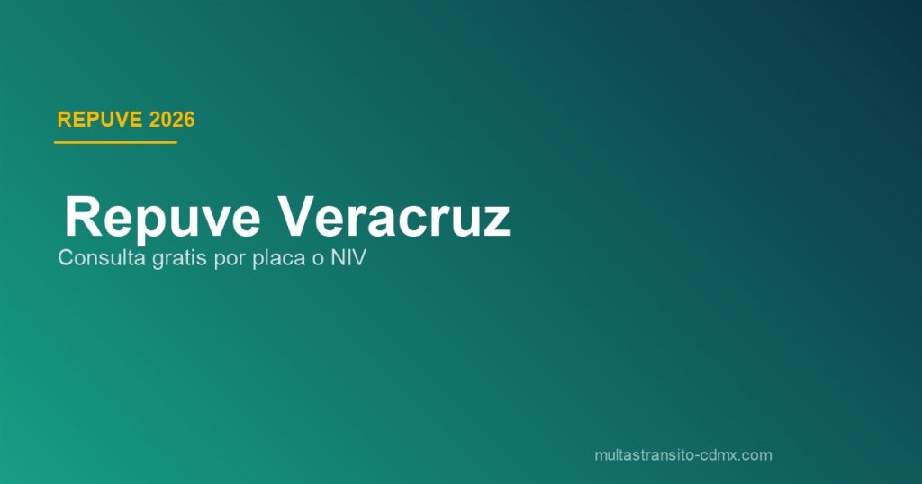 Repuve Veracruz
