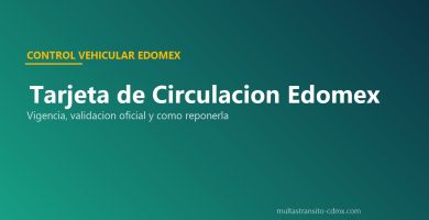 Tarjeta circulación Edomex vigencia 5 años