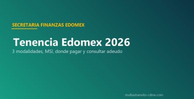 Tenencia Edomex 2026 pago consulta subsidio MSI