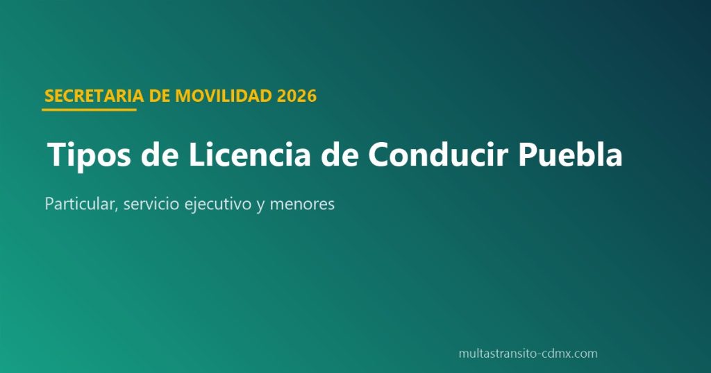 Tipos de licencia de conducir en Puebla