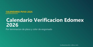 Calendario verificación Edomex 2026 placa engomado