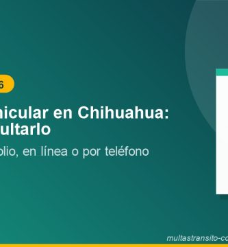 Adeudo Vehicular en Chihuahua: Cómo Consultarlo