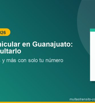 Adeudo Vehicular en Guanajuato: Cómo Consultarlo