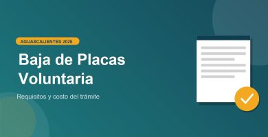 Baja de Placas en Aguascalientes 2026: requisitos y costo