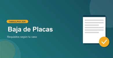 Baja de Placas en Tamaulipas 2026: requisitos segun tu caso