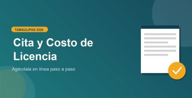 Cita y Costo de Licencia de Conducir en Tamaulipas 2026