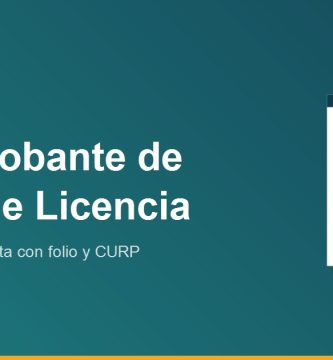 Comprobante de Pago de Licencia de Conducir en Tamaulipas 2026