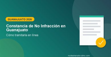 Constancia de No Infracción en Guanajuato