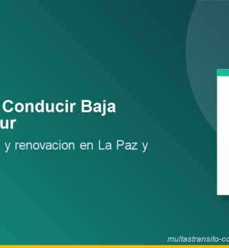 Licencia de Conducir Baja California Sur 2026