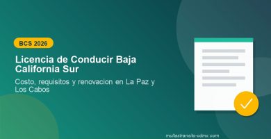 Licencia de Conducir Baja California Sur 2026
