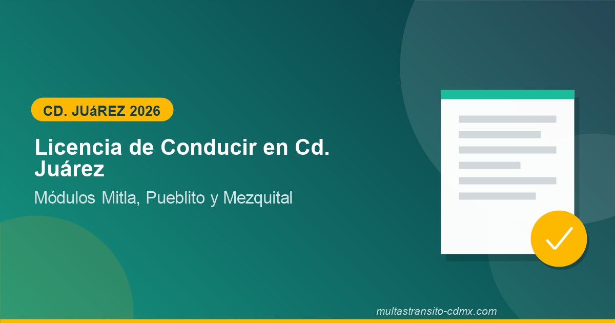 Licencia de conducir en Ciudad Juárez: módulos y requisitos