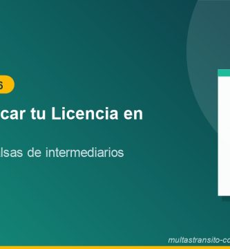 Como verificar licencia de conducir Michoacan