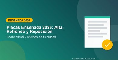Placas Ensenada 2026: alta, refrendo y reposición