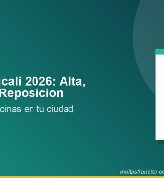 Placas Mexicali 2026: alta, refrendo y reposición