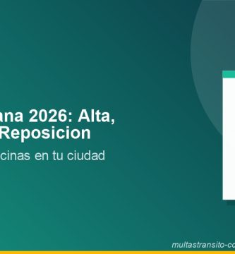 Placas Tijuana 2026: alta, refrendo y reposición