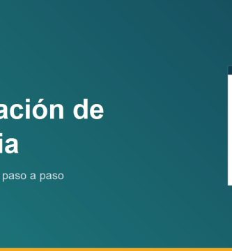 Renovacion de Licencia de Conducir en Tamaulipas 2026