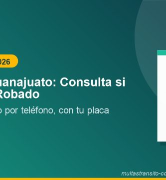 REPUVE Guanajuato: Consulta si tu Auto es Robado