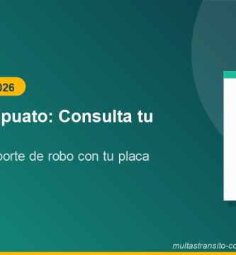 REPUVE Irapuato: Consulta tu Vehículo