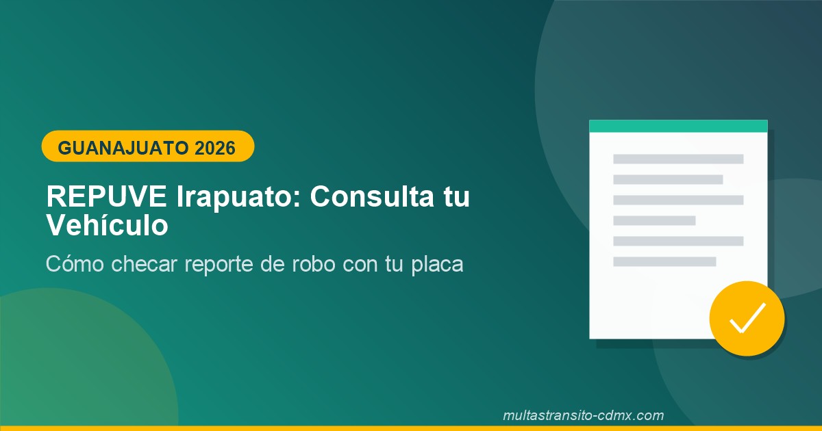 REPUVE Irapuato: Consulta tu Vehículo