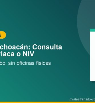 REPUVE Michoacan: consulta gratis por placa o NIV