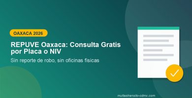 REPUVE Oaxaca: consulta gratis por placa o NIV